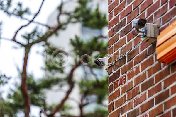 사회이슈 사람없음 JPG 아웃포커스 포토 감시카메라 건물 벽 벽돌 보안 소나무 안전 야외 주간