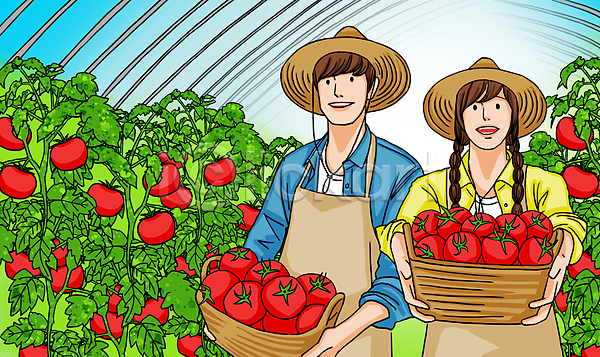 남자 두명 성인 성인만 여자 PSD 일러스트 들기 밀짚모자 바구니 보여주기 비닐하우스 상반신 수확 앞치마 청년농부 토마토
