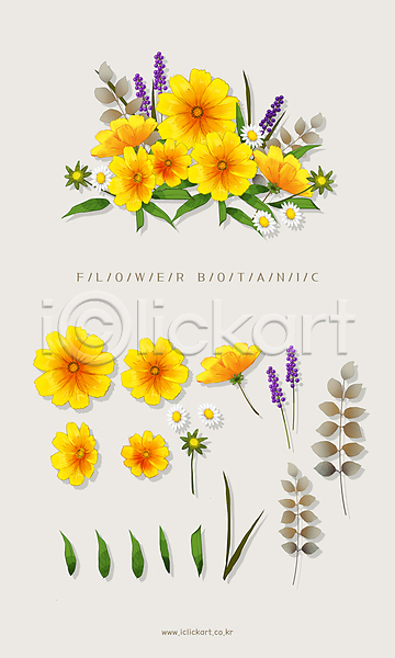 사람없음 PSD 일러스트 꽃다발 꽃봉오리 꽃잎 노란색 라벤더 엘리먼트 오브젝트 잎 코스모스(꽃)