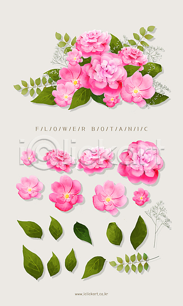 사람없음 PSD 일러스트 꽃다발 꽃잎 분홍색 안개꽃 엘리먼트 오브젝트 잎 장미