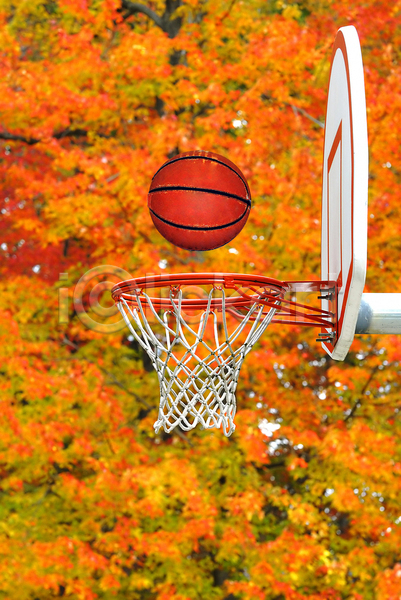 청춘(젊음) 사람없음 JPG 포토 해외이미지 가을(계절) 나무 농구 농구공 농구대 단풍 야외 주간 주황색