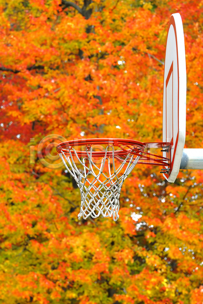 청춘(젊음) 사람없음 JPG 포토 해외이미지 가을(계절) 나무 농구 농구대 단풍 야외 주간 주황색