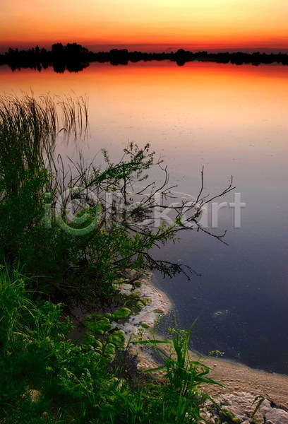 고요 사람없음 JPG 포토 해외이미지 야간 야외 일몰 자연 폴란드 풀(식물) 하늘 해외풍경 호수