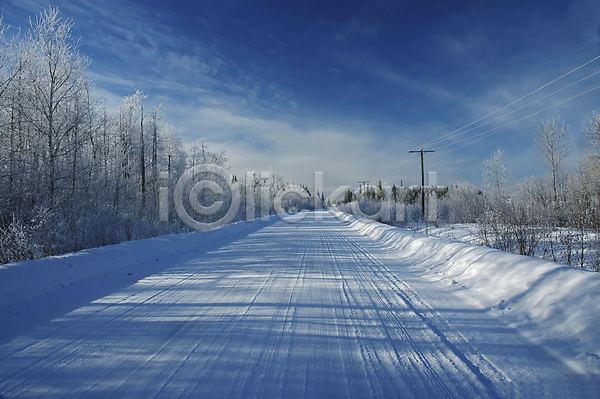 추위 침묵 사람없음 JPG 포토 해외이미지 겨울 계절 그림자 나무 도로 맑음 서리 얼음 크리스마스 파란색 풍경(경치) 흰색