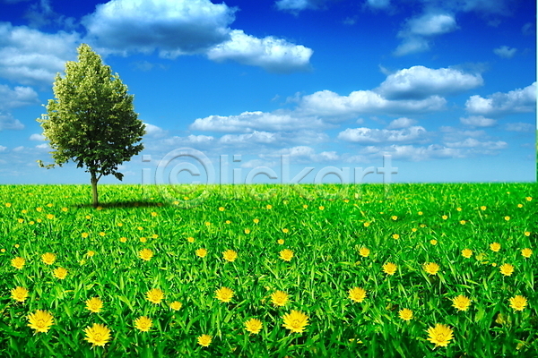 사람없음 JPG 포토 해외이미지 구름(자연) 그림자 꽃 나무 무한 백그라운드 수평선 시골 우주 초록색 풍경(경치) 하늘