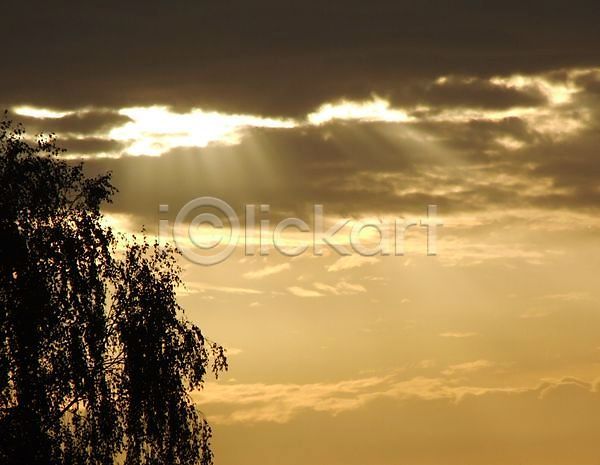사람없음 JPG 포토 해외이미지 갈색 구름(자연) 나무 빛 신앙심 어둠 일몰 태양