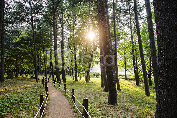 사람없음 JPG 포토 경상북도 김천 산책로 숲길 야외 주간 직지사 풍경(경치) 햇빛