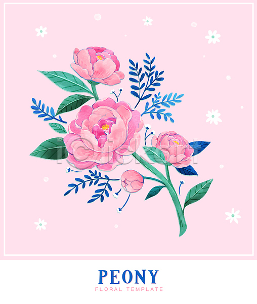 사람없음 PSD 일러스트 프레임일러스트 꽃 꽃무늬 꽃봉오리 백그라운드 분홍색 수채화(물감) 잎 작약 카드(감사) 카피스페이스