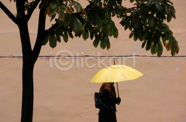 성인 성인여자한명만 여자 한명 JPG 옆모습 포토 해외이미지 걷기 나무 들기 벽 비(날씨) 상반신 야외 우산 주간