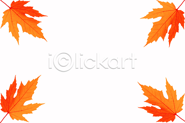 변화 행복 사람없음 JPG 포토 해외이미지 10월 11월 가을(계절) 강렬 계절 고립 날씨 단풍 달력 디자인 백그라운드 빨간색 순환 숲 오렌지 오브젝트 우주 잎 자연 장식 정원 초록색 컬러풀 텍스트 패턴 황금 흰색