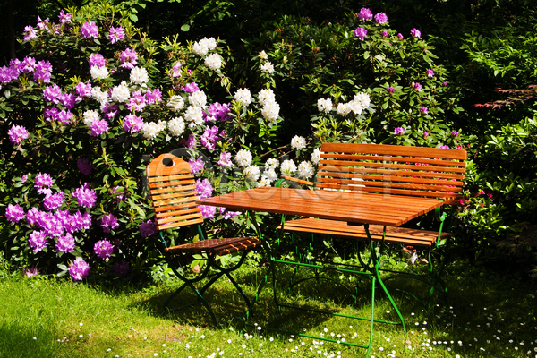 사람없음 JPG 포토 해외이미지 꽃 나무의자 나무탁자 야외 정원 주간 풀(식물) 풍경(경치)