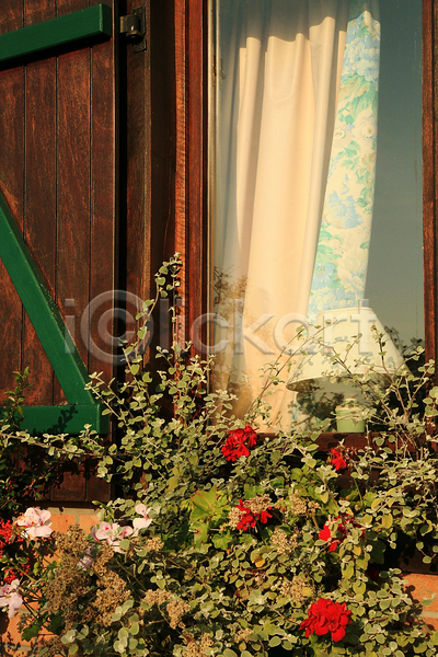 빈티지 사람없음 JPG 포토 해외이미지 꽃 시골 야외 주간 창문 풀(식물) 풍경(경치)