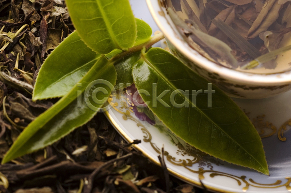 티타임 사람없음 JPG 근접촬영 포토 해외이미지 녹차 녹차잎 잎 찻잎 찻잔 컵받침