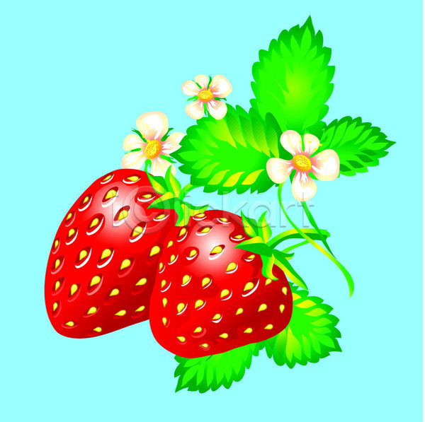 신선 EPS 일러스트 해외이미지 건강 과일 꽃 나뭇가지 딸기 벚꽃 빨간색 열매 잎 초록색