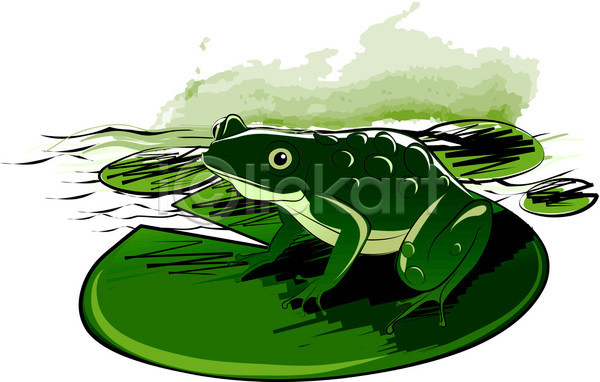 EPS 일러스트 해외이미지 개구리 그림 동물 물 방목장 백합(꽃) 수채화(물감) 스케치 앉기 양서류 잎 자연 초록색 호수