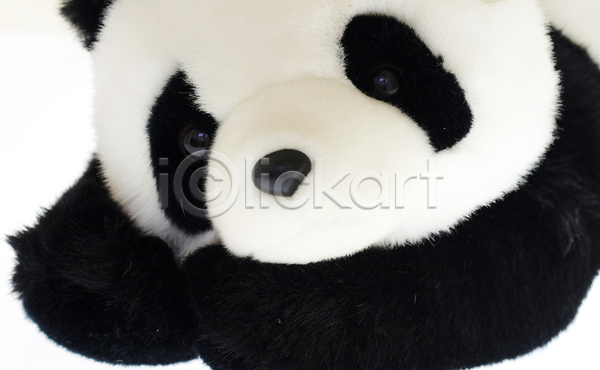 부드러움 사람없음 JPG 포토 해외이미지 곰 동물 멸종 모피 야생동물 장난감 중국 컨셉 판다 포옹