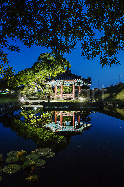 사람없음 JPG 포토 버드나무 야간 야경 야외 연못 정자(건축물) 조명 충청남도 홍성