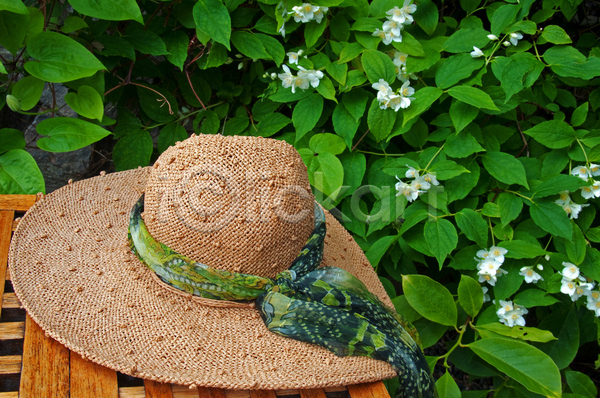 뜨거움 보호 사람없음 여자 JPG 포토 해외이미지 갈색 꽃 목도리 목재 밀짚 세련 식물 야외 여름(계절) 옷 유행 정원 초록색 탁자 태양 파티 향수