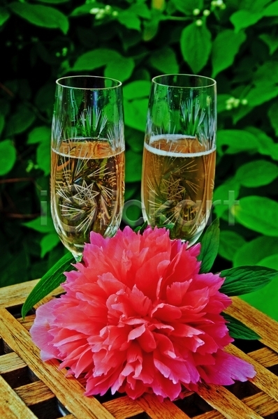 추위 축하 행복 사람없음 JPG 포토 해외이미지 2 기념 꽃 분홍색 샴페인 식물 안경 야외 여름(계절) 유리 음료 잎 작약 정원 초록색 커플 탁자 파티