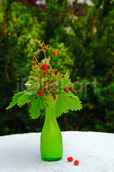 편안함 사람없음 JPG 포토 해외이미지 꽃 꽃병 딸기 맛 물 빨간색 사발 숙성 시골 여름(계절) 열매 장식 정원 직물 초록색 크리스탈 탁자 흰색