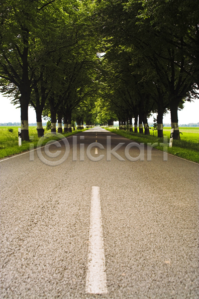 사람없음 JPG 포토 해외이미지 거리 공원 교통시설 길가 나무 도로 방향 시골 초록색 풍경(경치) 회색