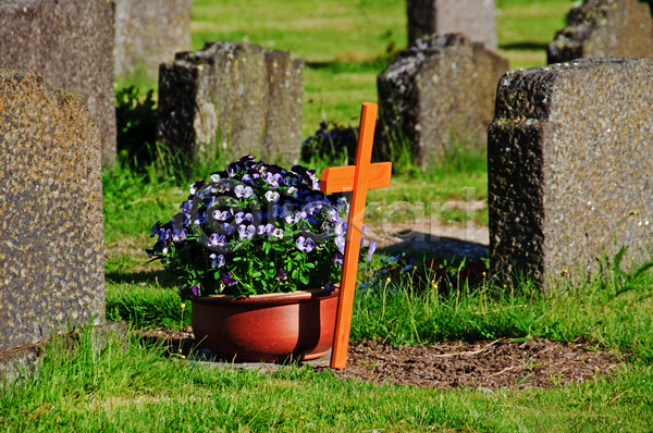슬픔 신선 침묵 평화 휴식 사람없음 JPG 포토 해외이미지 기념물 꽃 냄비 목재 묘사 바위 십자가 장례식 종교 죽음