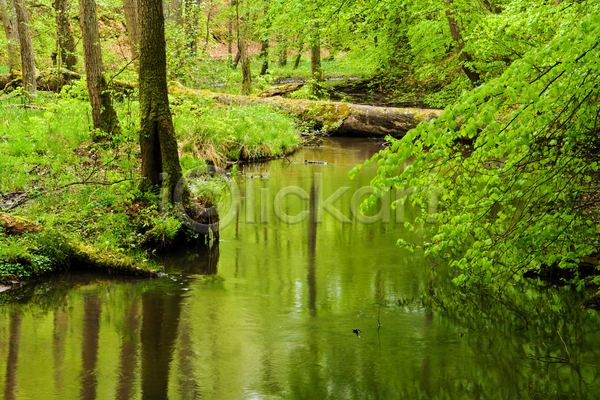 흐름 사람없음 JPG 포토 해외이미지 가로 강 개울 나무 독일 물 봄 숲 야외 자연 초록색 풍경(경치)