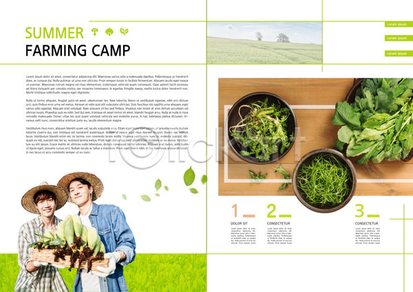 20대 남자 두명 성인 성인남자만 한국인 PSD 템플릿 내지 농부 리플렛 북커버 쌈채소 여름(계절) 여름음식 여름캠프 옥수수 제철음식 채소 청년농부 초록색 출판디자인 팜플렛 표지디자인