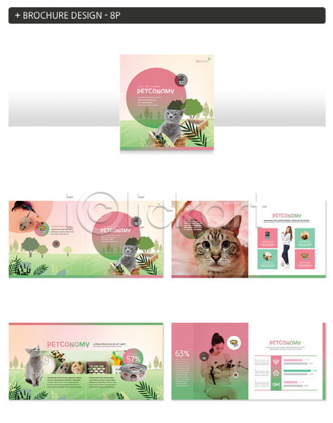 20대 두명 성인 성인여자만 여자 한국인 INDD ZIP 인디자인 템플릿 고양이 반려 반려동물 애묘용품 애완용품 여러마리 팜플렛 펫코노미