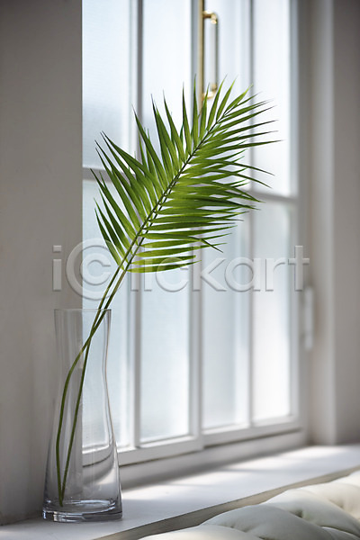 감성 사람없음 JPG 포토 꽃 꽃병 나뭇잎 스튜디오촬영 식물 실내 오브젝트 인테리어 창가 창문