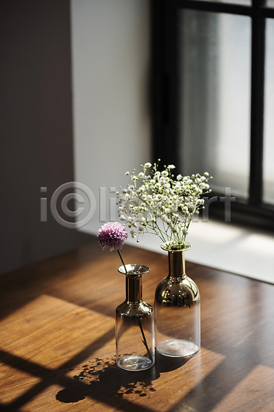 감성 사람없음 JPG 포토 꽃 꽃병 달리아 스튜디오촬영 식물 실내 안개꽃 오브젝트 인테리어 창가 창문