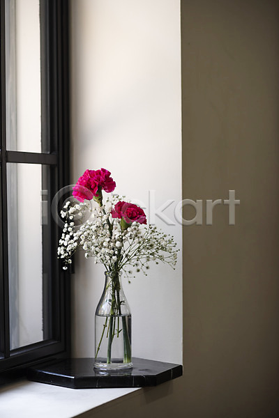 감성 사람없음 JPG 포토 꽃 꽃병 스승의날 스튜디오촬영 식물 실내 어버이날 오브젝트 인테리어 창가 창문 카네이션