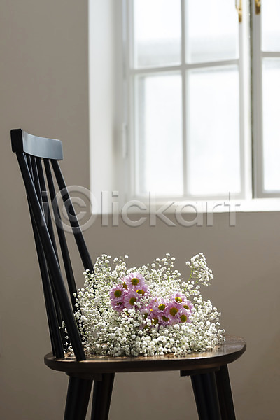 감성 사람없음 JPG 포토 꽃 꽃다발 마거리트 스튜디오촬영 식물 실내 안개꽃 오브젝트 의자 인테리어 창가 창문