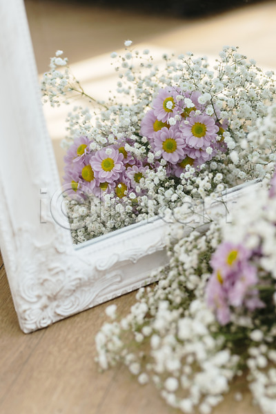 감성 사람없음 JPG 포토 거울 꽃 꽃다발 마거리트 스튜디오촬영 식물 실내 안개꽃 오브젝트 인테리어