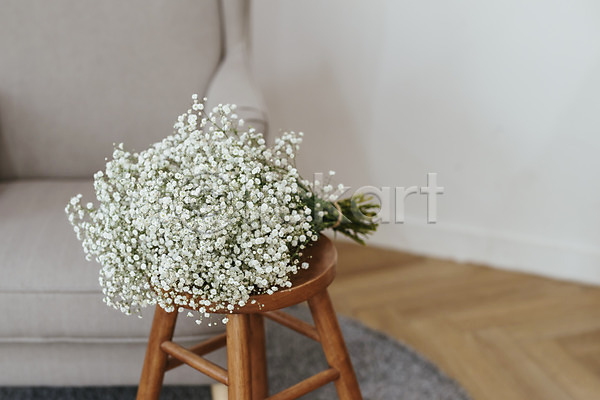 감성 사람없음 JPG 포토 꽃 꽃다발 소파 스튜디오촬영 식물 실내 안개꽃 오브젝트 의자 인테리어