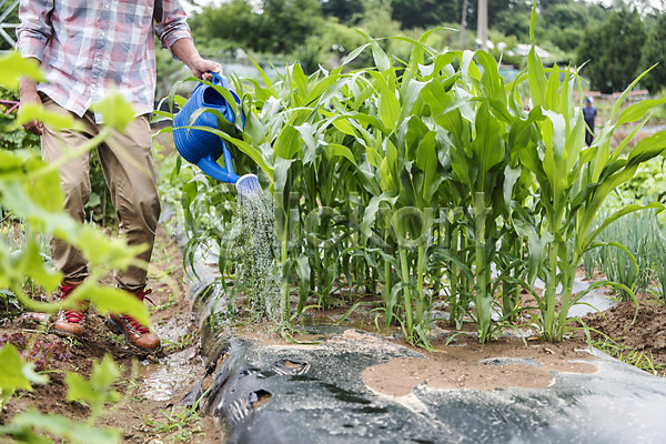 40대 남자 중년 중년남자한명만 한국인 한명 JPG 앞모습 포토 걷기 농부 농작물 물뿌리개 식재료 야외 유기농 주간 주말농장 텃밭 하반신
