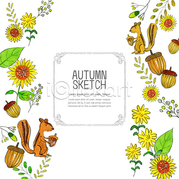 사람없음 PSD 일러스트 가을(계절) 계절 낙엽 다람쥐 단풍 도토리 스케치 열매 오브젝트 컬러풀 프레임 해바라기
