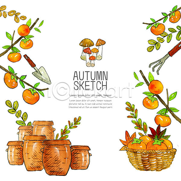 사람없음 PSD 일러스트 가을(계절) 감나무 계절 낙엽 단풍 바구니 스케치 오브젝트 컬러풀 항아리