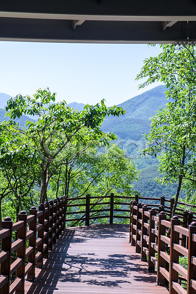 사람없음 JPG 포토 관광지 국내여행 나무 단양스카이워크 맑음 명승지 산 산책로 야외 여름(계절) 여름풍경 여행 주간 풍경(경치) 한국