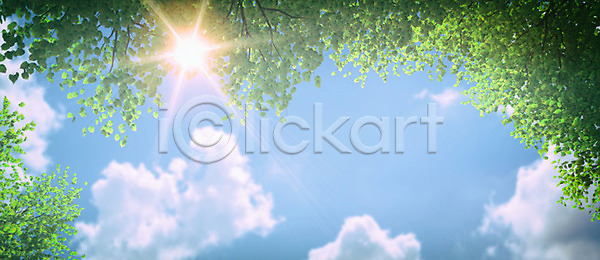사람없음 3D PSD 디지털합성 로우앵글 편집이미지 3D소스 구름(자연) 나무 백그라운드 야외 여름(계절) 주간 풍경(경치) 하늘 햇빛