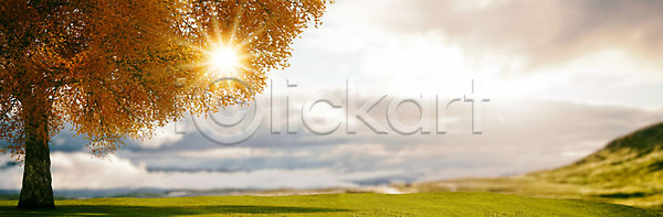 사람없음 3D PSD 디지털합성 편집이미지 3D소스 가을(계절) 가을배경 단풍 단풍나무 백그라운드 야외 주간 초원(자연) 풍경(경치) 햇빛