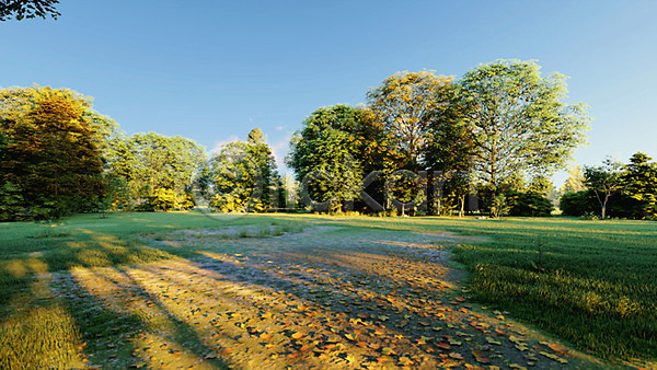 사람없음 3D PSD 디지털합성 편집이미지 3D소스 광장 나무 백그라운드 야외 여름(계절) 잔디 주간 풍경(경치)