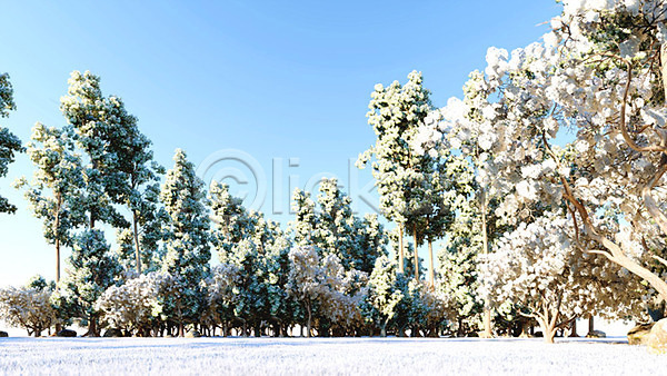 사람없음 3D PSD 디지털합성 편집이미지 3D소스 겨울 나무 눈(날씨) 백그라운드 숲속 야외 주간 풍경(경치)