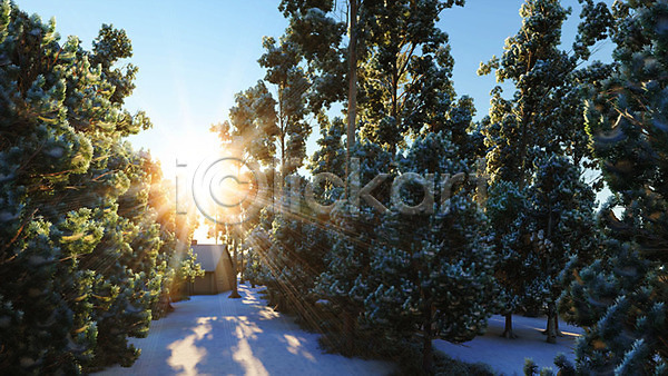 사람없음 3D PSD 디지털합성 편집이미지 3D소스 겨울 나무 눈(날씨) 백그라운드 숲속 야외 주간 풍경(경치) 햇빛