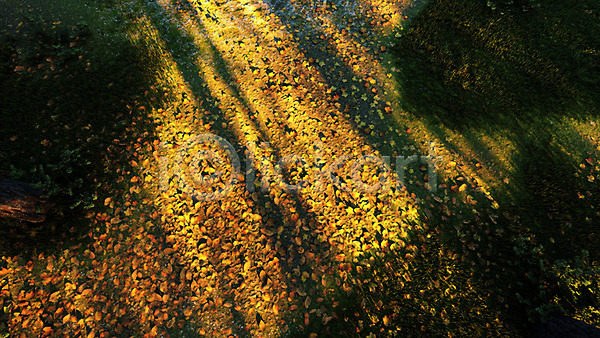 사람없음 3D PSD 디지털합성 편집이미지 3D소스 가을(계절) 가을배경 낙엽 백그라운드 야외 일몰 주간 풍경(경치)