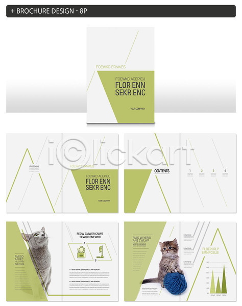 사람없음 INDD ZIP 인디자인 템플릿 고양이 두마리 반려 반려동물 반려묘 선 실타래 초록색 팜플렛
