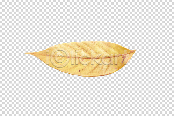 사람없음 PNG 편집이미지 하이앵글 가을(계절) 계절 나뭇잎 낙엽 누끼 오브젝트 잎 편집소스 한개