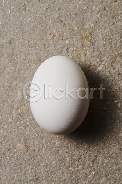 신선 사람없음 JPG 포토 하이앵글 계란 누끼 단백질 스튜디오촬영 식재료 실내 알 유기농 음식 플랫레이 한개 회색 회색배경