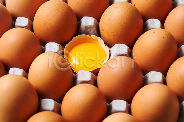 신선 사람없음 JPG 근접촬영 포토 하이앵글 갈색 계란 계란판 노른자 누끼 단백질 스튜디오촬영 식재료 실내 알 여러개 유기농 음식 포장 포장용기