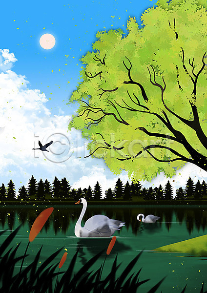 사람없음 PSD 일러스트 구름(자연) 나무 동물 백그라운드 백조 부들 세마리 숲 식물 자연 초록색 태양 풍경(경치) 하늘 호수